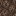 wither_skeleton_skull